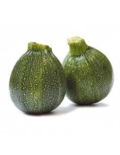 Courgettes rondes
