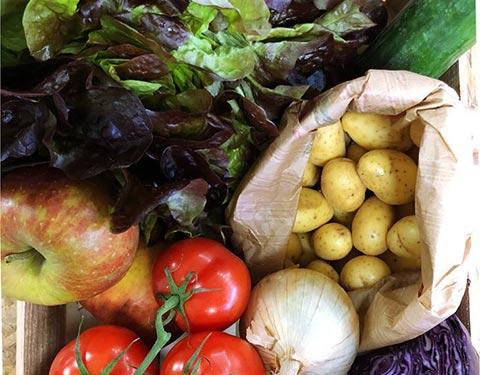 Sélection de légumes de votre primeur à Villeuneuve d'Ascq